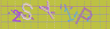 CAPTCHA 認証コード