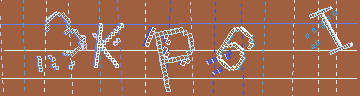 CAPTCHA 認証コード